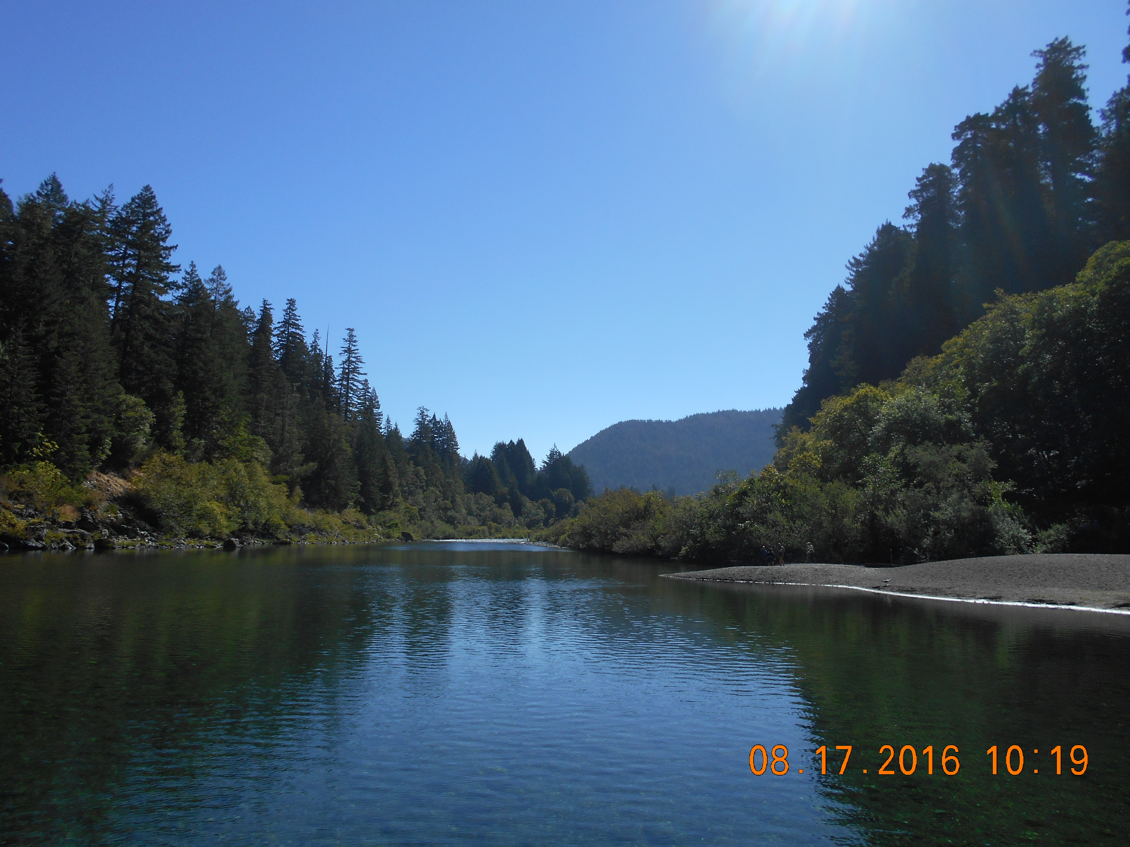 Calm Creek at Stout Grove