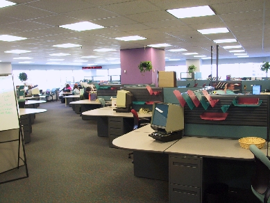 From the comely call centre